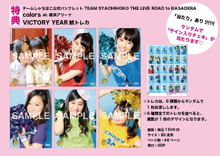 チームしゃちほこ 公式パンフレットTEAM SYACHIHOKO THE LIVE