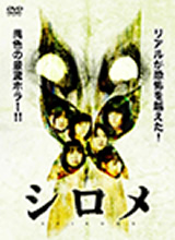 dvd_2010_img03.jpg