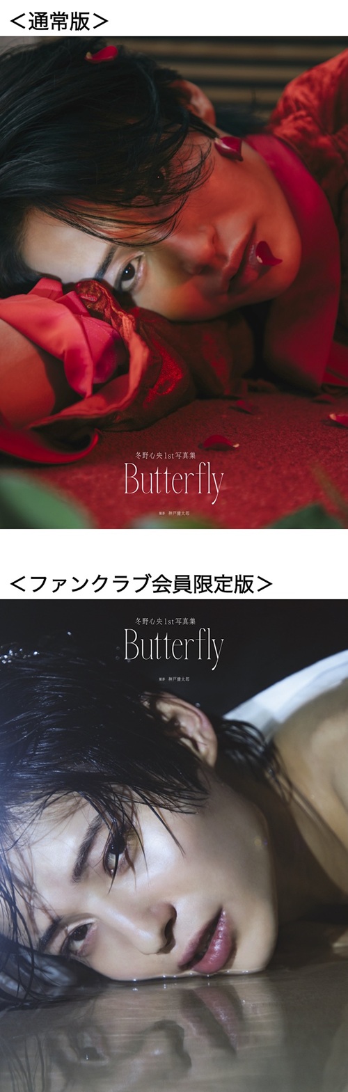冬野心央 サイン フォトカ 冬野心央1st写真集「Butterfly」 | SDP