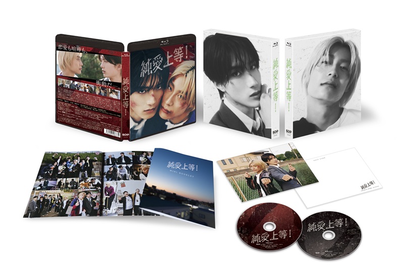 映画『純愛上等！』が豪華Blu-ray BOX化！ | SDP